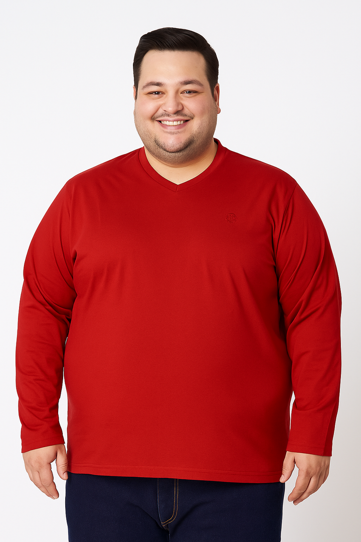 Men’s  Full Sleeve V-Neck T-Shirt – Big & Tall