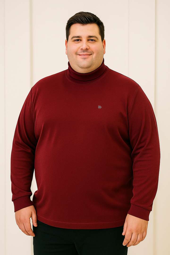 Men's Long Slevees Turtleneck T-Shirt - Big & Tall