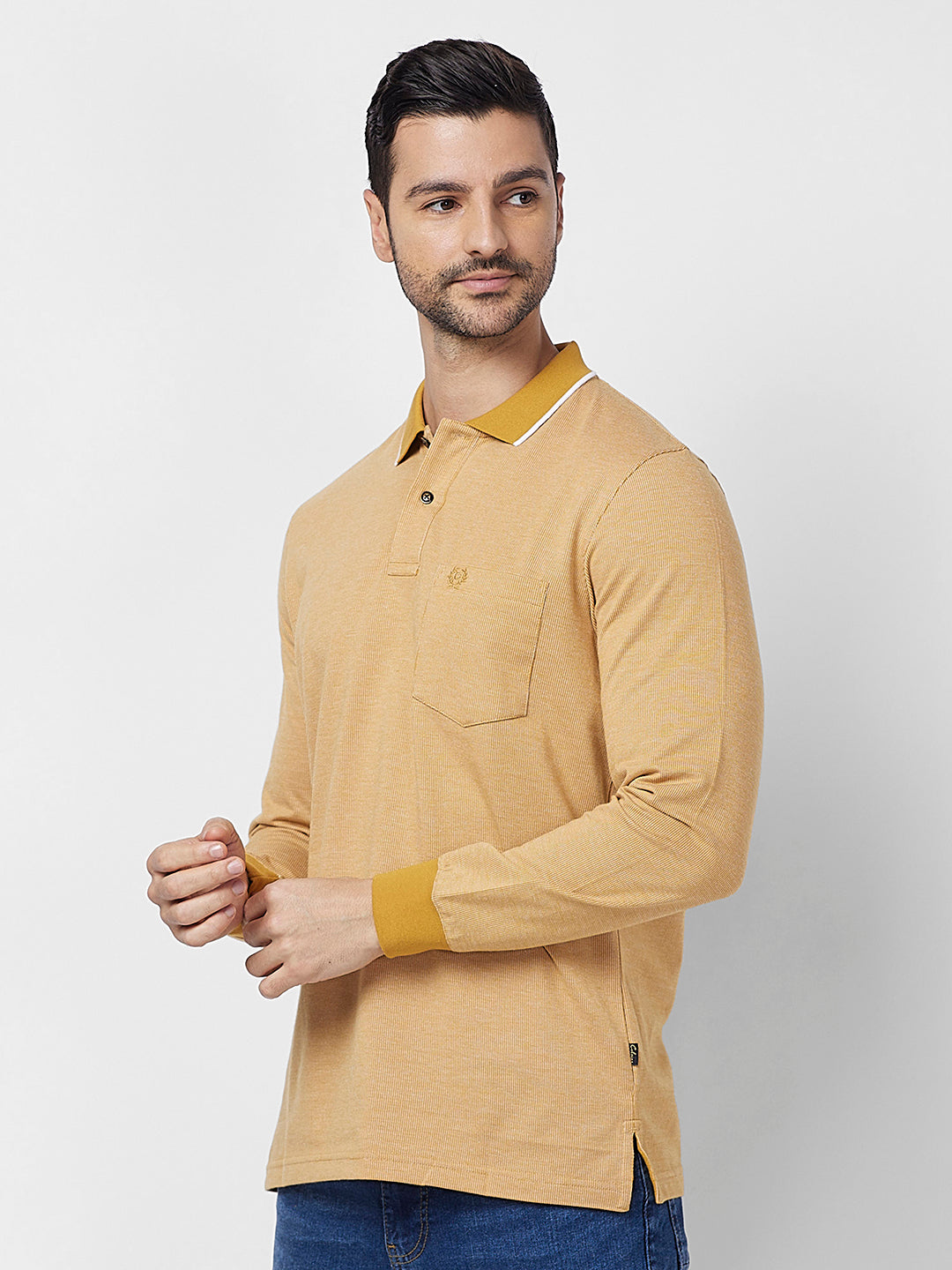 Men's Full-Sleeved Jacquard Polo Shirt- Big & Tall