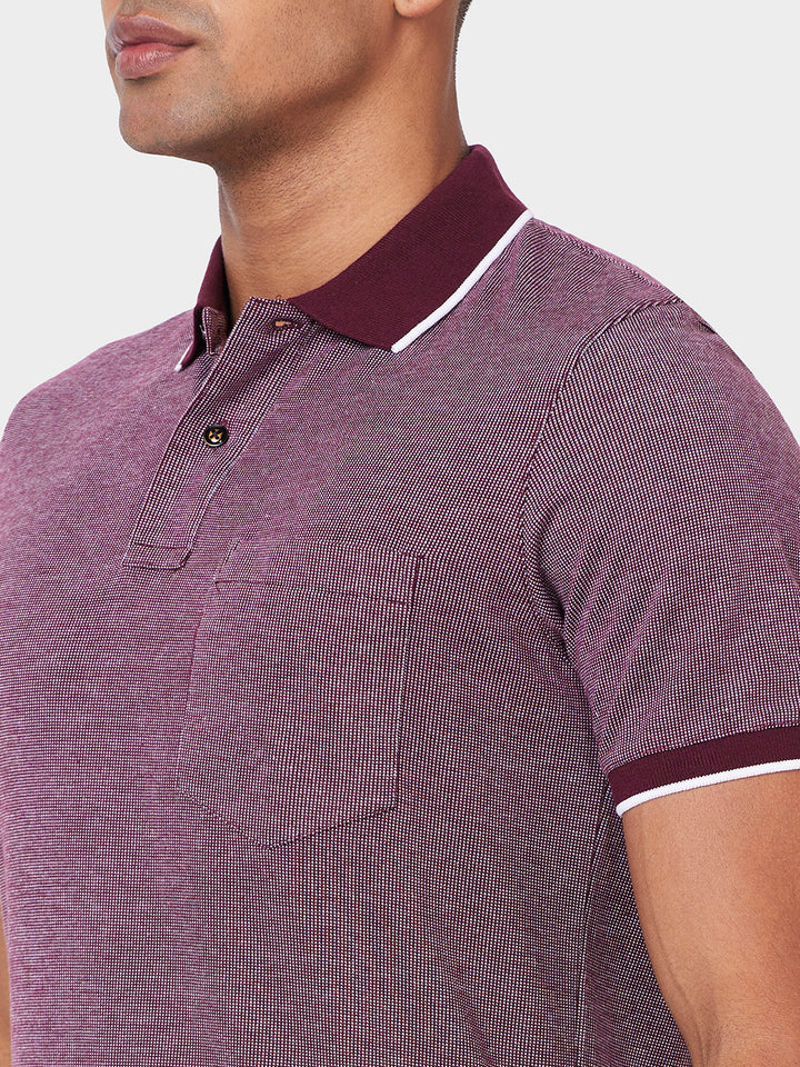 Men’s Contrast Collar Polo T-Shirt - Big & Tall