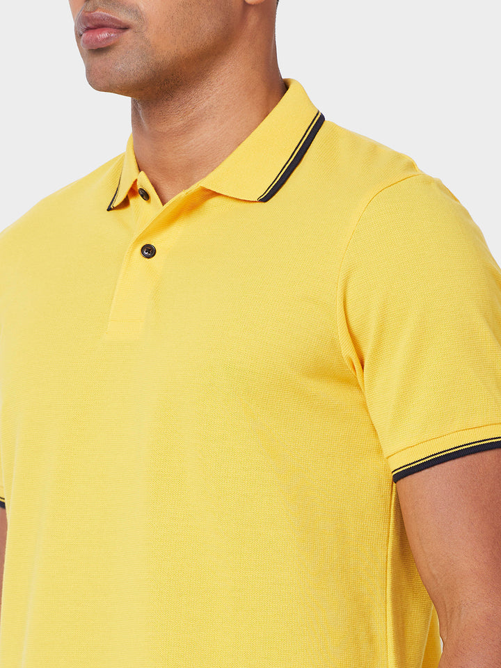 Men's Solid Polo T-Shirt with Contrast Tipping
