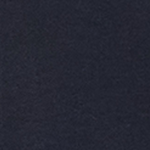 Vulcan Navy